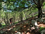 17 Passaggio all'ombra del grande faggio